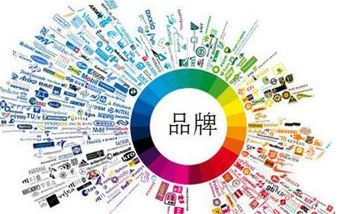 志卓科技 以定制化服务为引擎，驱动技术推广与品牌价值共赢