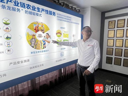 数智养猪场 AI管家全天候守护，教育咨询开启智能养殖新篇章